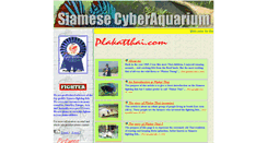 Desktop Screenshot of plakatthai.com