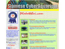 Tablet Screenshot of plakatthai.com